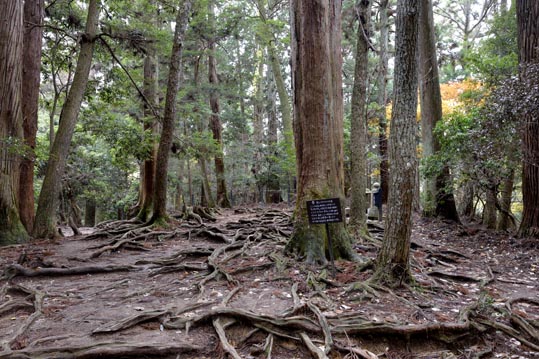 2012kuramaderakifune135