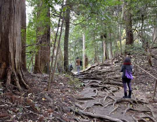 2012kuramaderakifune142