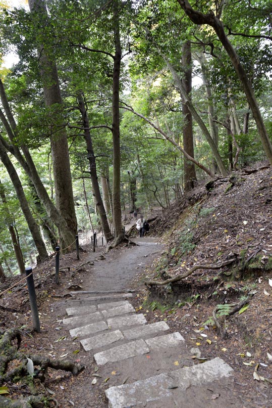 2012kuramaderakifune144