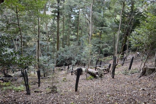 2012kuramaderakifune145