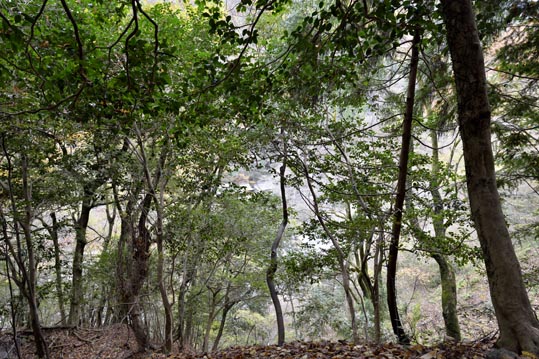 2012kuramaderakifune155