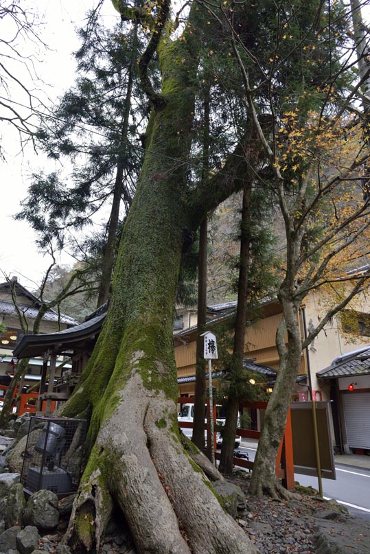 2012kuramaderakifune166