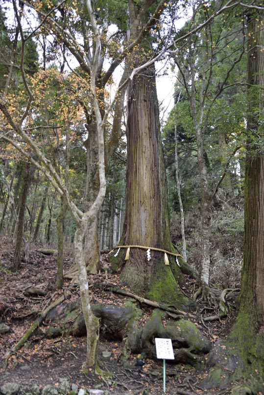 2012kuramaderakifune188