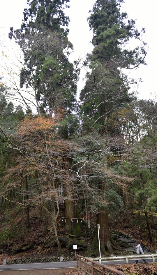 2012kuramaderakifune189