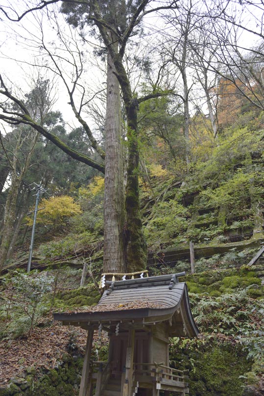 2012kuramaderakifune196