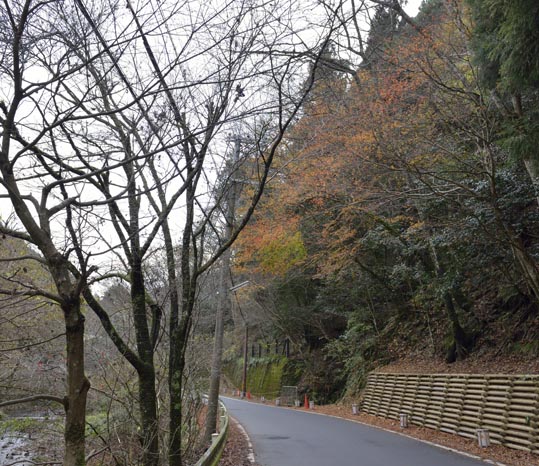 2012kuramaderakifune219