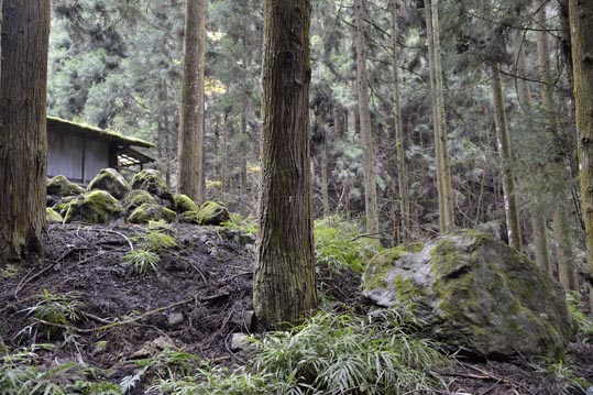 2012kuramaderakifune224