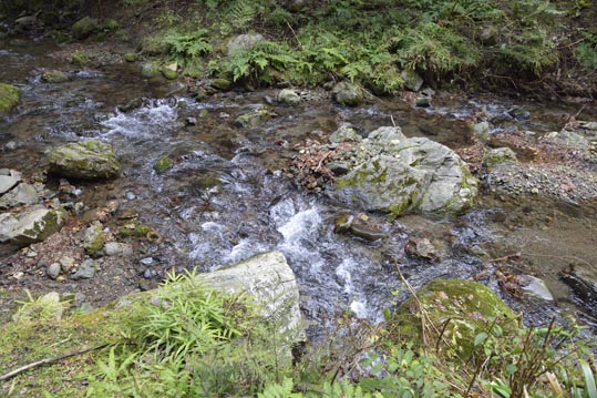 2012kuramaderakifune225