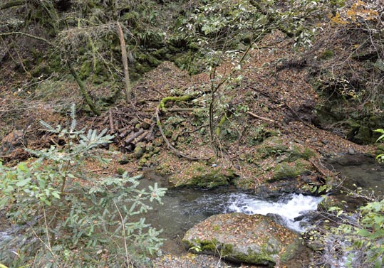 2012kuramaderakifune229