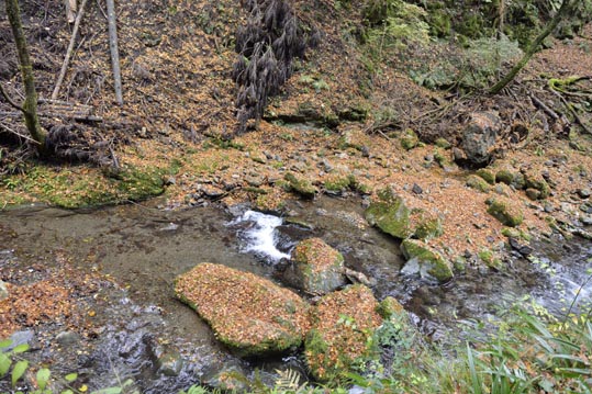 2012kuramaderakifune230