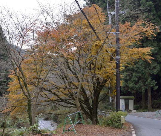 2012kuramaderakifune233