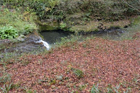 2012kuramaderakifune234