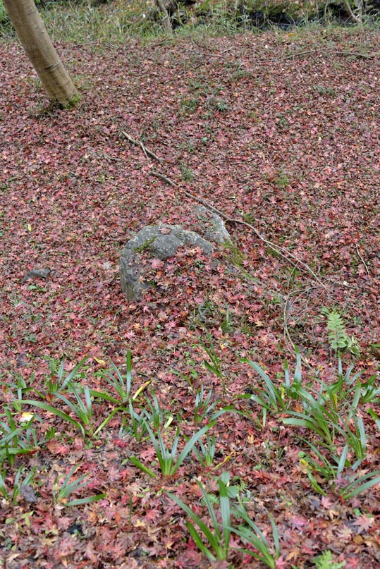 2012kuramaderakifune235