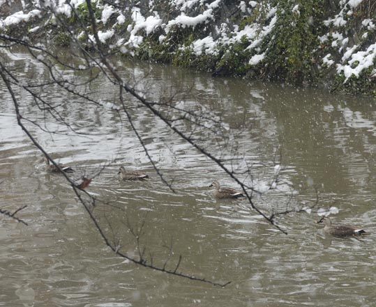 2014yukinoosakajyo012