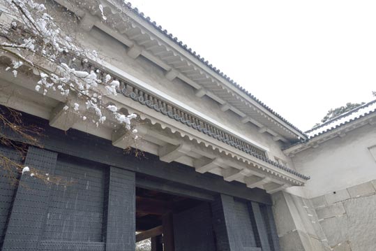 2014yukinoosakajyo056