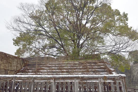 2014yukinoosakajyo069