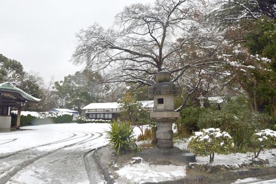 2014yukinoosakajyo082