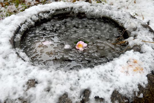 2014yukinoosakajyo091