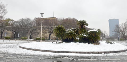 2014yukinoosakajyo092