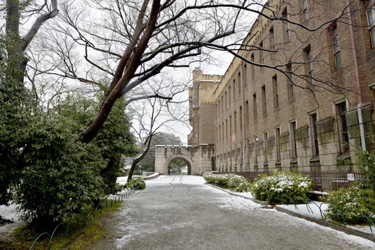 2014yukinoosakajyo111