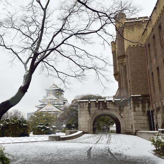 2014yukinoosakajyo120