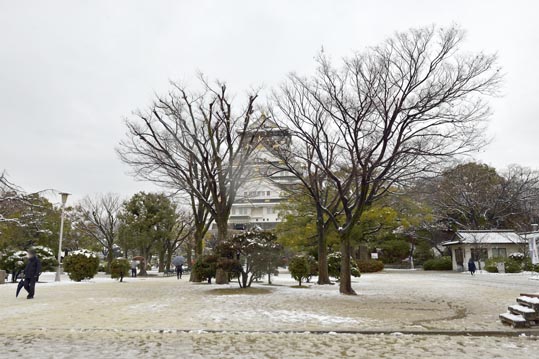 2014yukinoosakajyo123