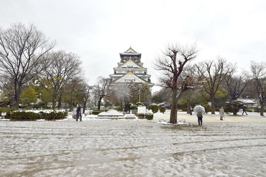 2014yukinoosakajyo128