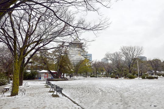 2014yukinoosakajyo133