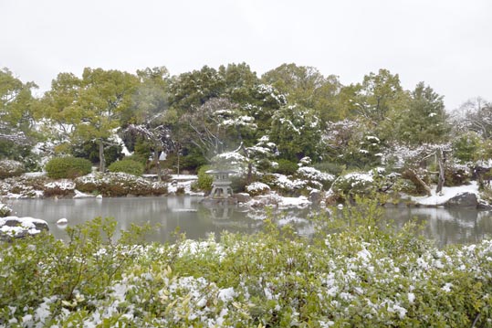 2014yukinoosakajyo134