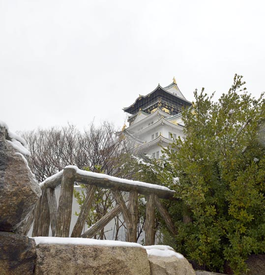 2014yukinoosakajyo150