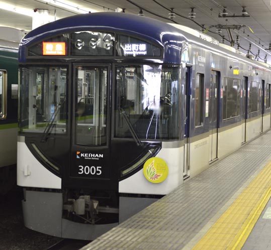 2014jyounanguusidareume022