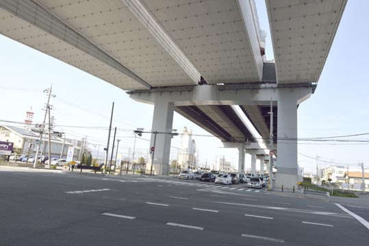 2014jyounanguusidareume026