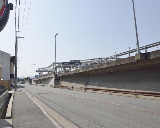 2014jyounanguusidareume028