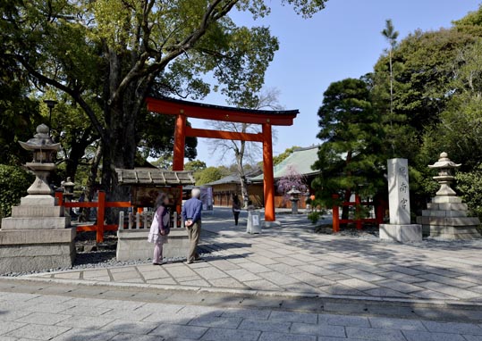 2014jyounanguusidareume035