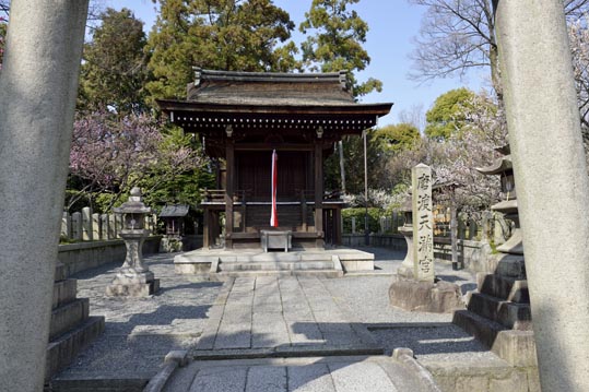 2014jyounanguusidareume042