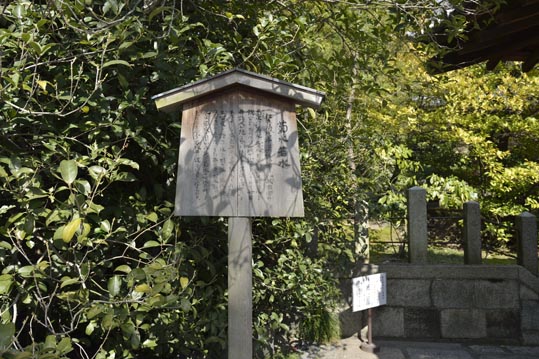 2014jyounanguusidareume051