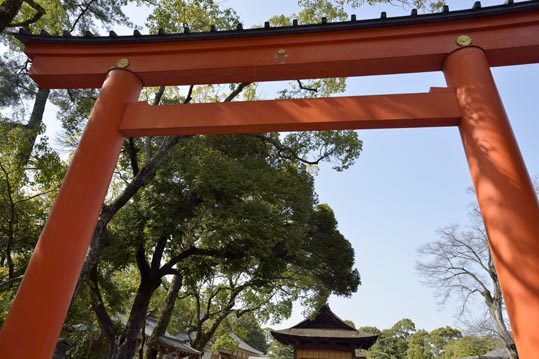 2014jyounanguusidareume054