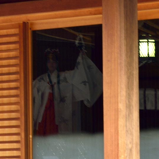 2014jyounanguusidareume059