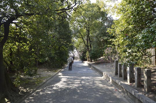 2014jyounanguusidareume067