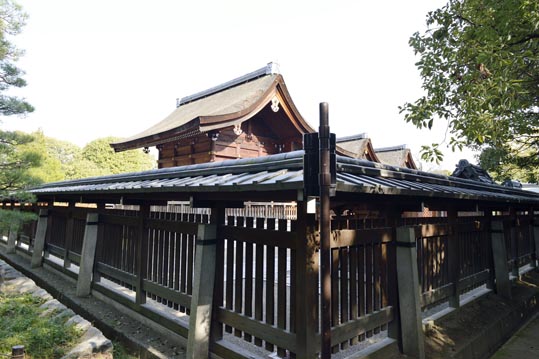 2014jyounanguusidareume181