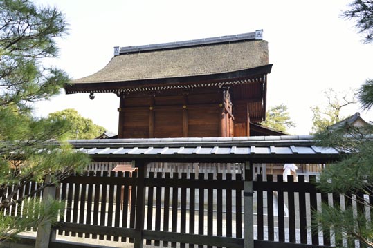 2014jyounanguusidareume184