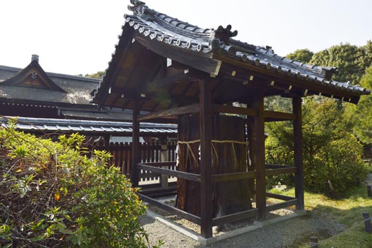 2014jyounanguusidareume199