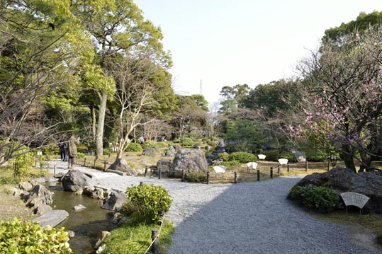 2014jyounanguusidareume201