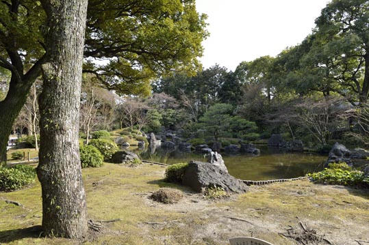 2014jyounanguusidareume203