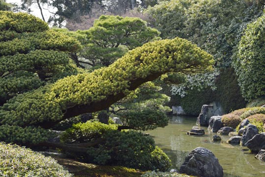 2014jyounanguusidareume211