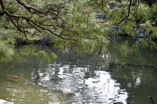 2014jyounanguusidareume217