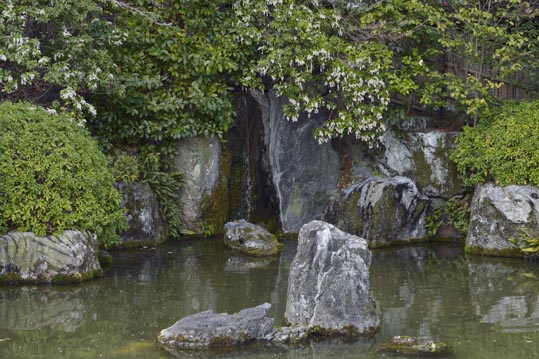 2014jyounanguusidareume221