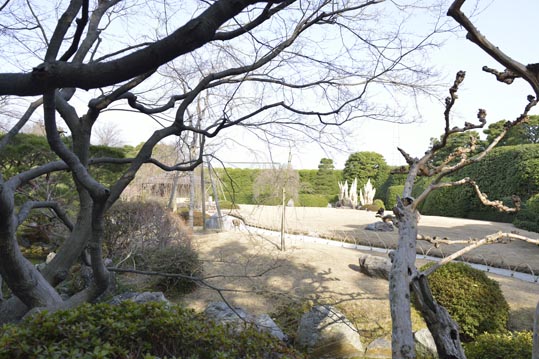 2014jyounanguusidareume224