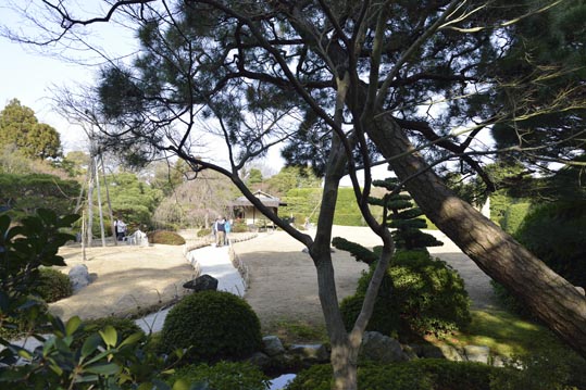 2014jyounanguusidareume225