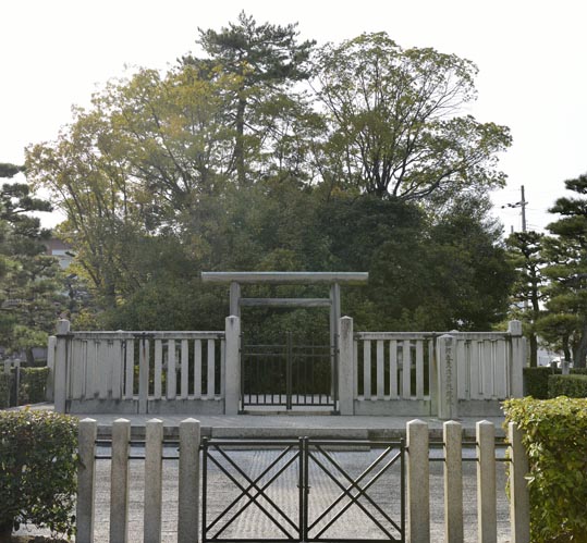 2014jyounanguusidareume240